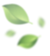leafs